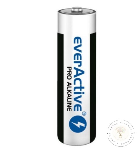 Bateria everActive Pro Alkaline LR6 AA 10 szt.